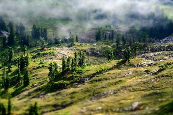 太平洋寿险退保标准 太平洋寿险退保标准