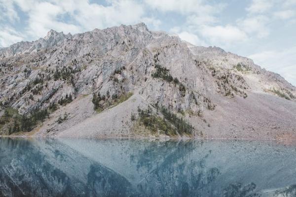 退保需要投保人签字吗