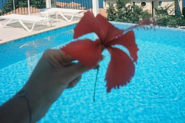 保单未到期可以退吗 保单未到期可以退吗