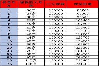 中英鑫享未来2号终身寿险