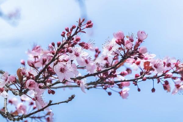 意外险只能自己给自己买吗