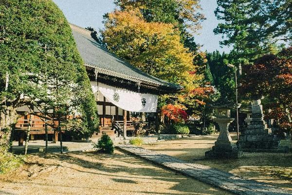 平安保险少儿平安福退保怎么算