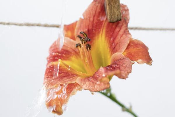 外卖员交通意外险 外卖员交通意外险