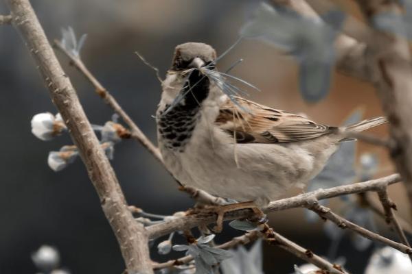 怎么给别人买意外保险 怎么给别人买意外保险