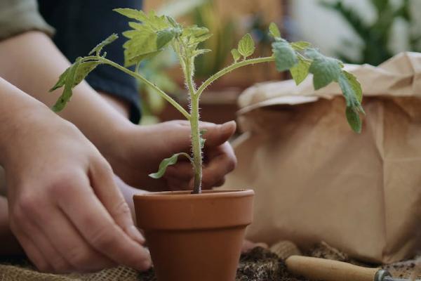 120元的学平险是什么险种 120元的学平险是什么险种