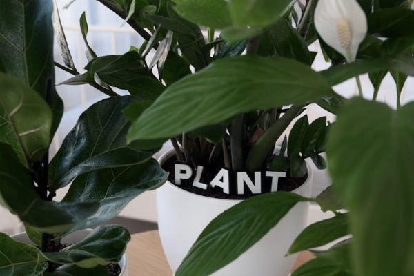 弘康保险公司正规吗 弘康保险公司正规吗