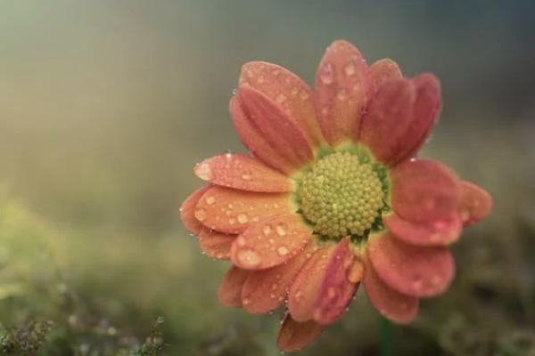 意外保险死亡赔偿 意外保险死亡赔偿