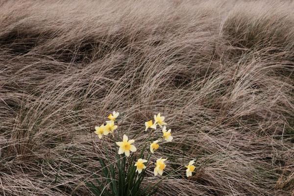 香港给孩子买啥保险好 香港给孩子买啥保险好
