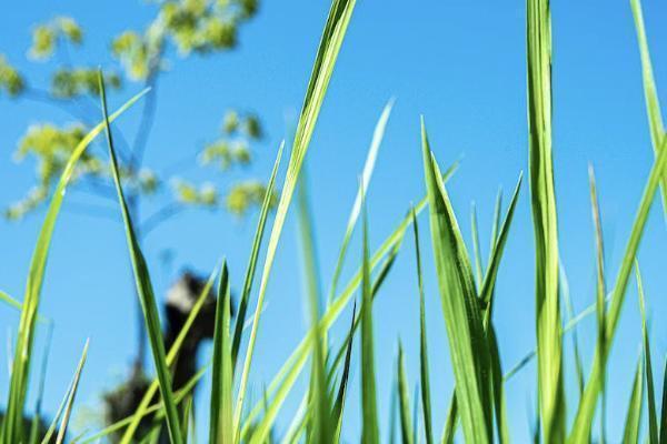 一年一交的大病保险怎么交