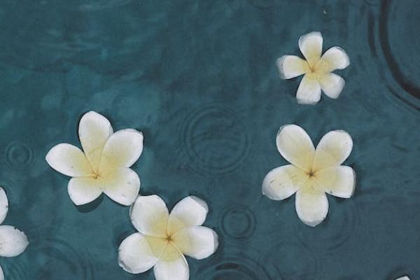 老板给员工买意外险好吗 老板给员工买意外险好吗