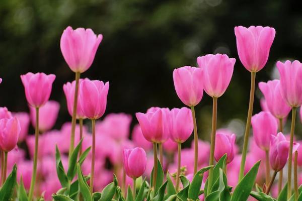 甲亢治愈后可以买重疾险吗 甲亢治愈后可以买重疾险吗