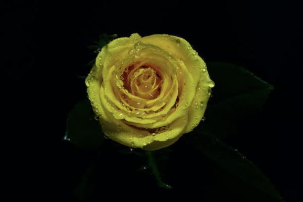 意外保险如何赔偿标准 意外保险如何赔偿标准