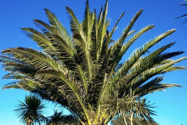 中国平安飞机意外保险 中国平安飞机意外保险