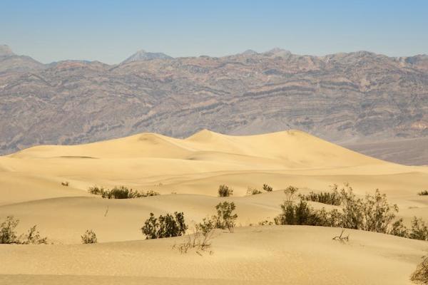 香港买少儿保险的利弊 香港买少儿保险的利弊