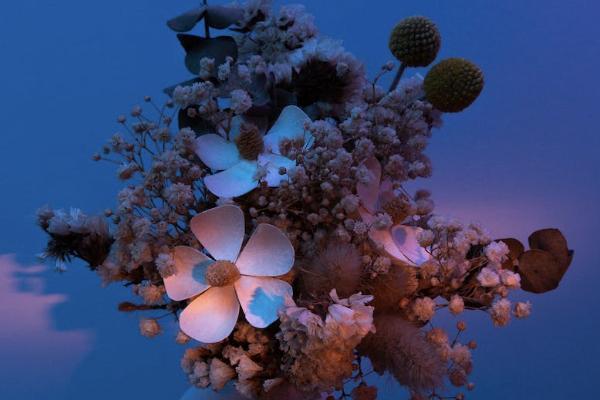 老人有什么保险可以买 老人有什么保险可以买