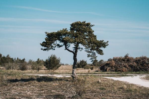rog意外险忘记激活了怎么办 rog意外险忘记激活了怎么办