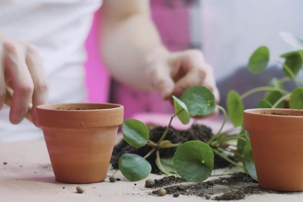广州医保的补充医疗保险是什么意思 广州医保的补充医疗保险是什么意思