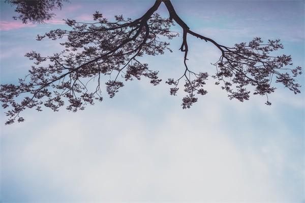 富德生命人寿退保 富德生命人寿退保