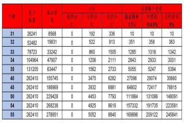 泰康人寿乐享岁月分红险