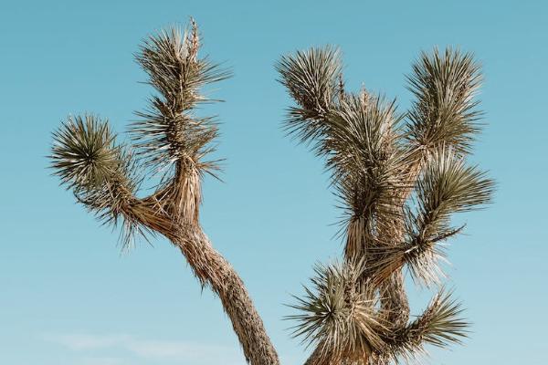 有结节香港买保险 有结节香港买保险
