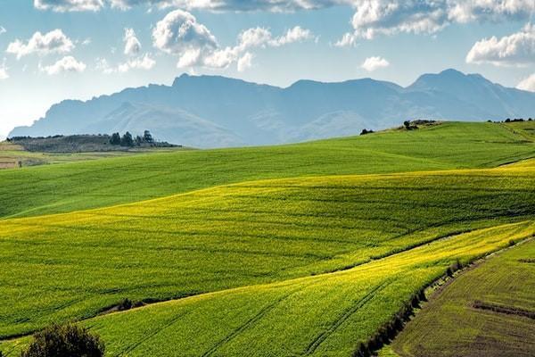 中国人寿保单交2年能退多少