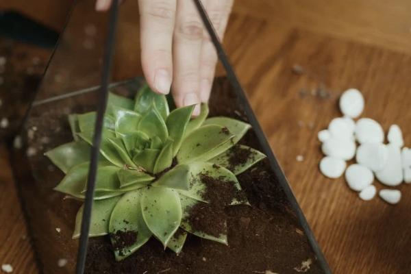 中银保险人身意外险