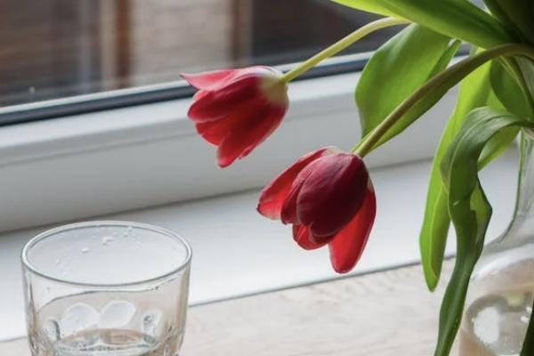 人保怎么退保险流程 人保怎么退保险流程