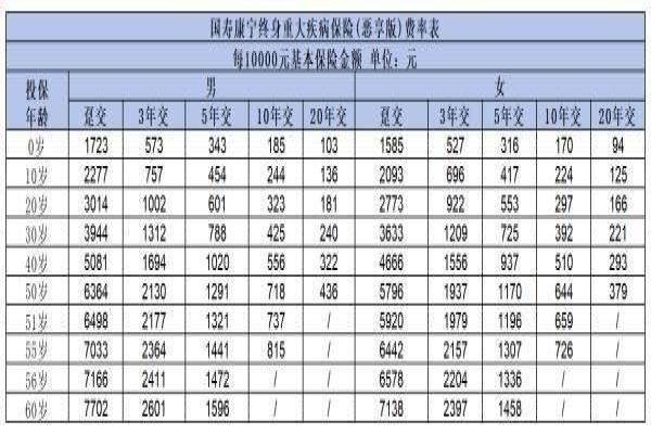 国寿康宁终身重疾险惠享版如何