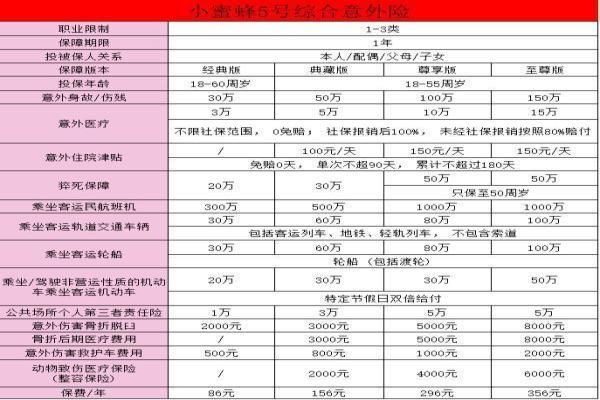 小蜜蜂5号意外险在哪里买