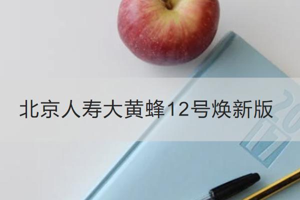 北京人寿大黄蜂12号焕新版