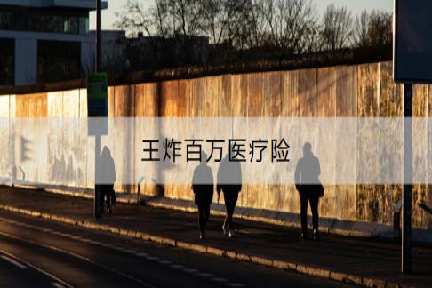 王炸百万医疗险