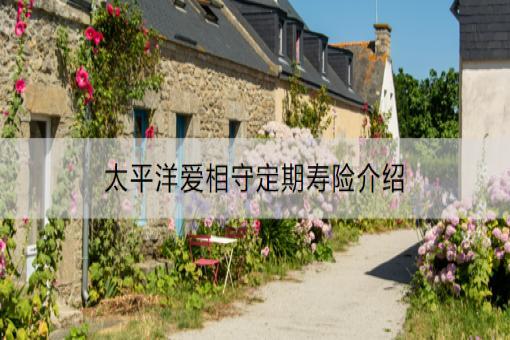 太平洋爱相守定期寿险介绍