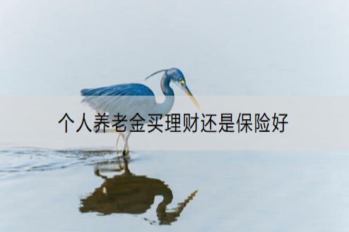 个人养老金买理财还是保险好