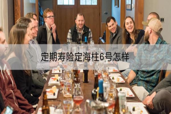 定期寿险定海柱6号怎样