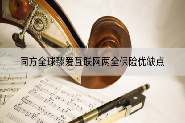 同方全球臻爱互联网两全保险优缺点