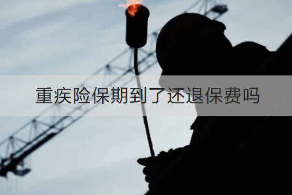 重疾险保期到了还退保费吗