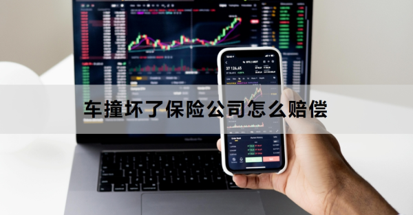 车撞坏了保险公司怎么赔偿