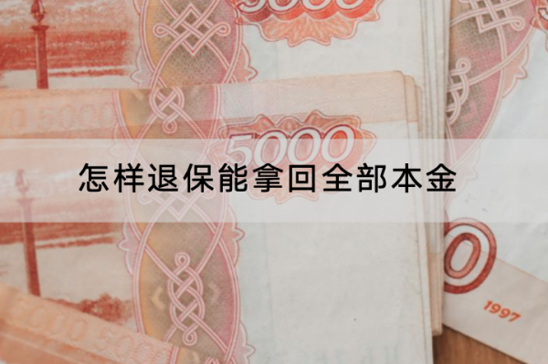 怎样退保能拿回全部本金？退保的流程是怎样的？